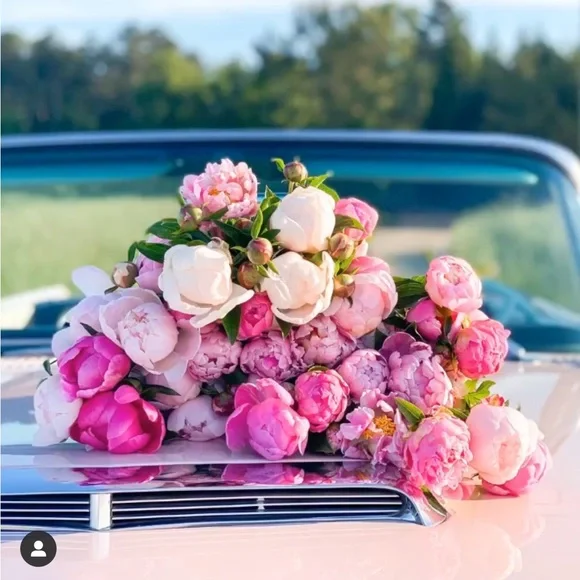 Hello 🌷 - Picture 6 of 11